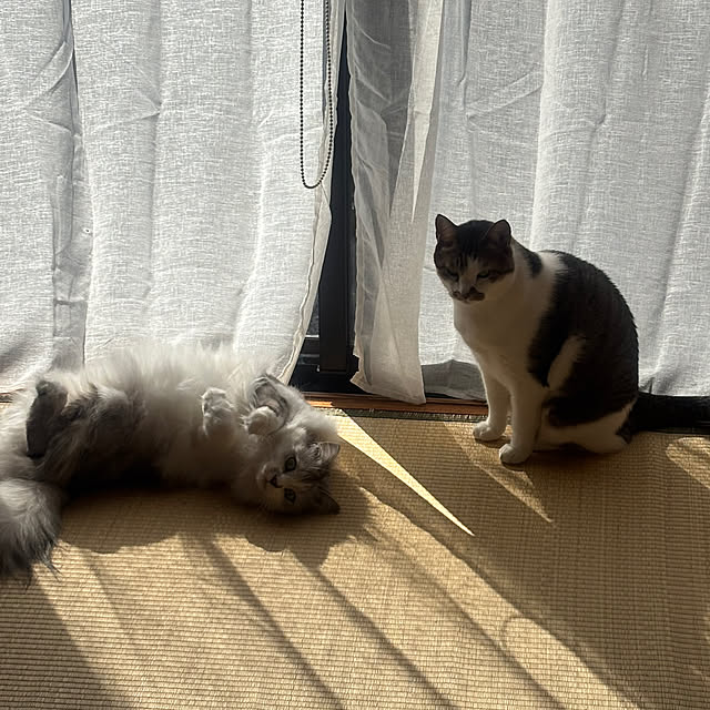 sanaeさんの部屋