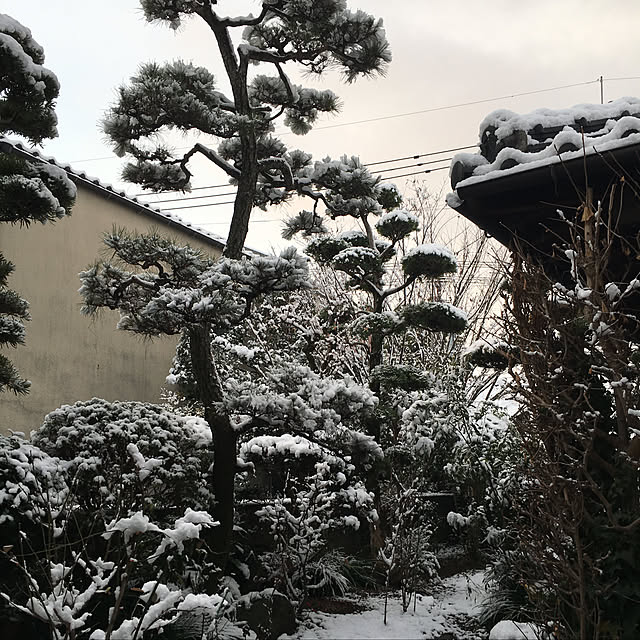 naokazuさんの実例写真
