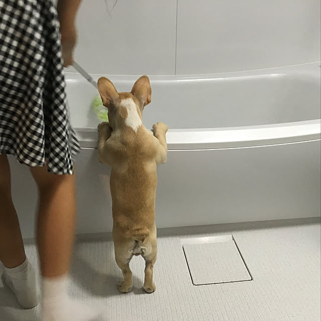 creamdaifukuさんの実例写真