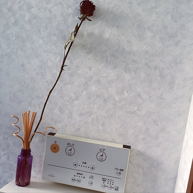 k_dinoさんの実例写真