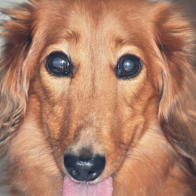 ucaさんの実例写真