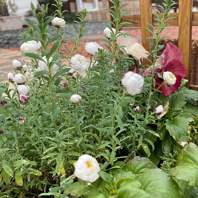 sayaさんの部屋