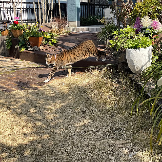 nobikoさんの実例写真