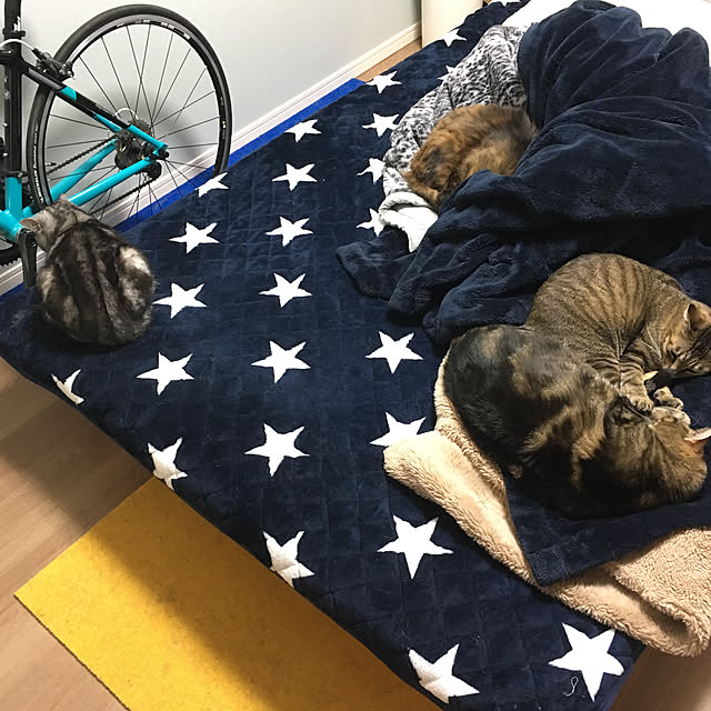 mikomaruさんの実例写真