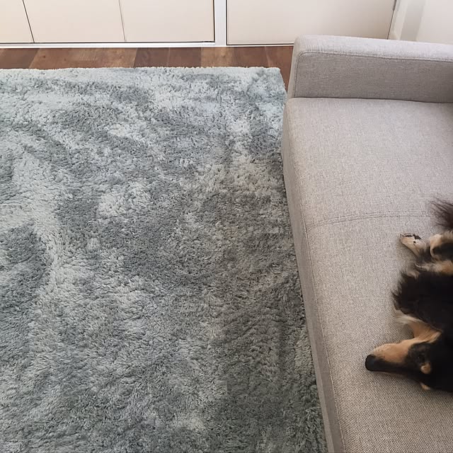 coolさんの実例写真