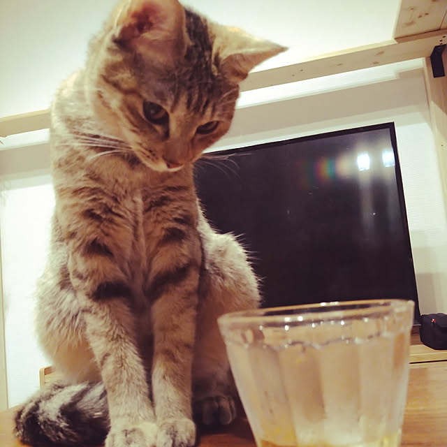 mamekoさんの実例写真