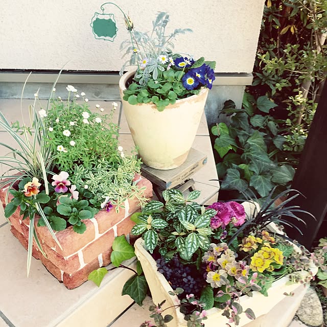 yuchi_chiさんの実例写真
