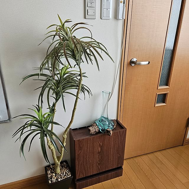 mogmogさんの部屋
