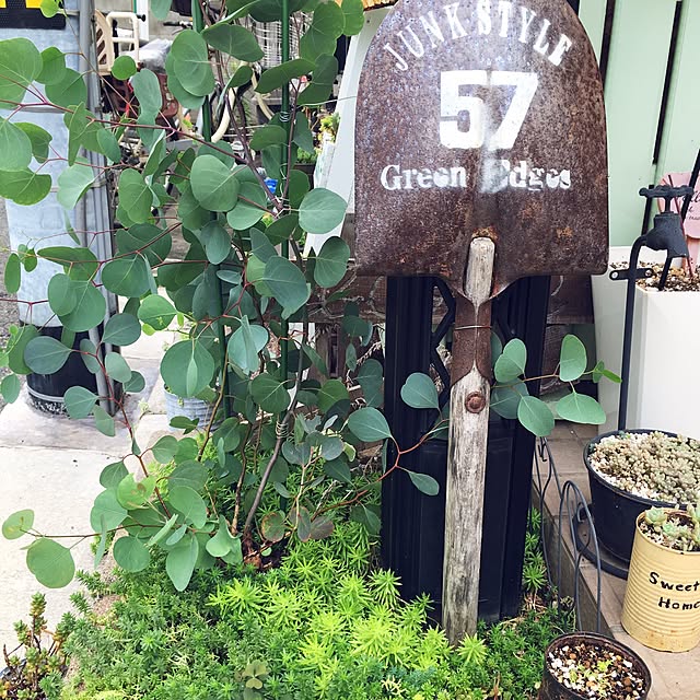 yukkaさんの実例写真