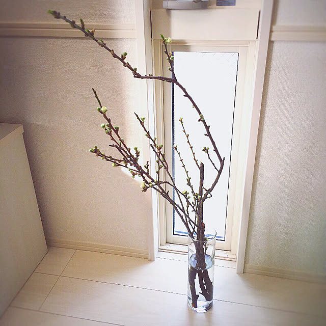 YUKI150cmさんの実例写真