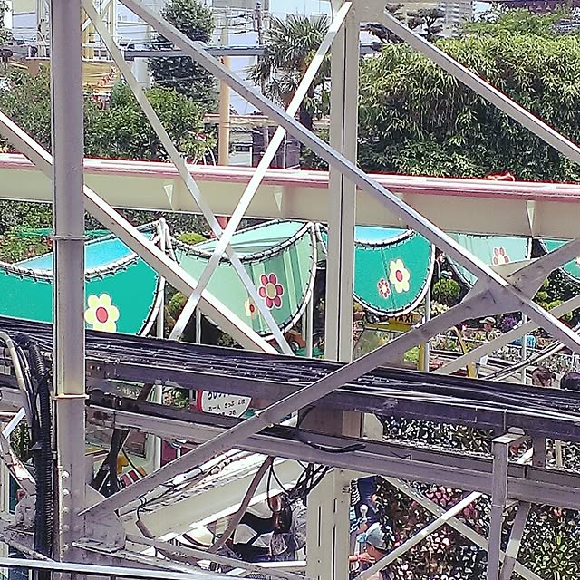 curekinokoさんの実例写真