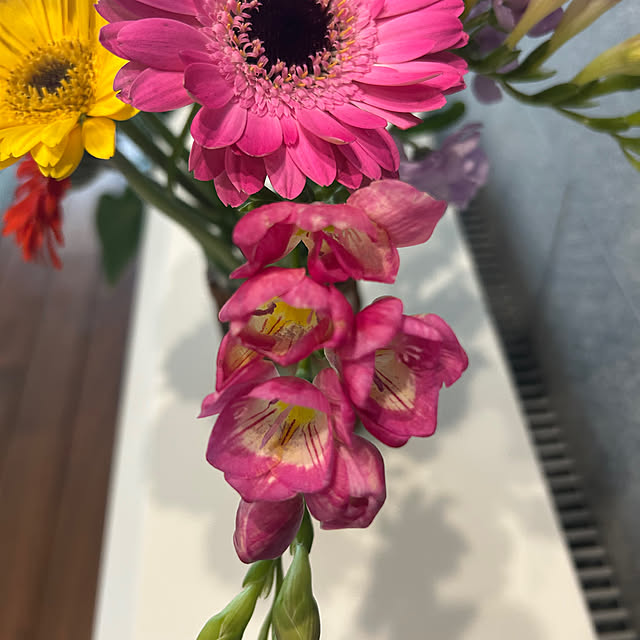 banbinaさんの部屋