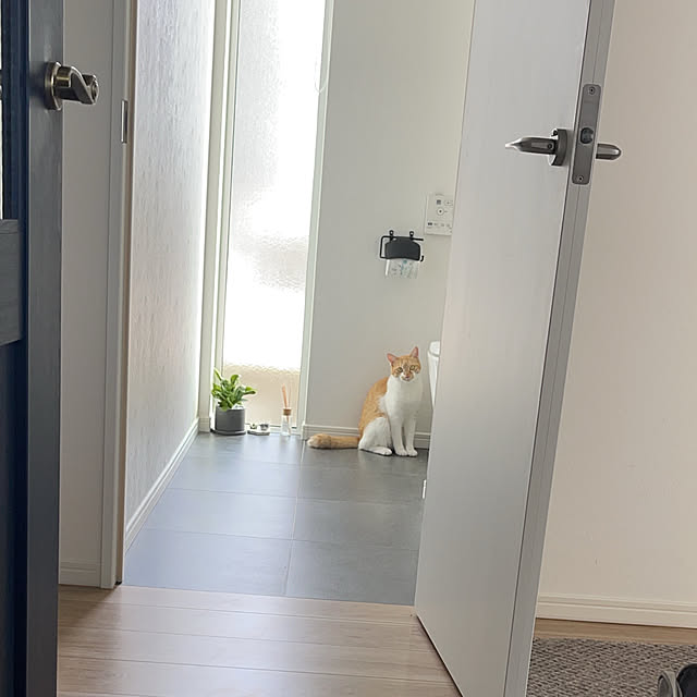 miniさんの部屋