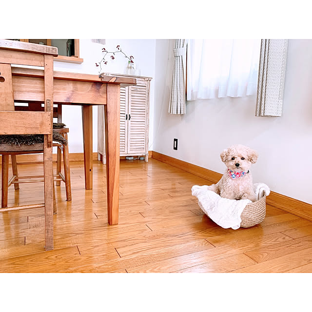 teaさんの実例写真