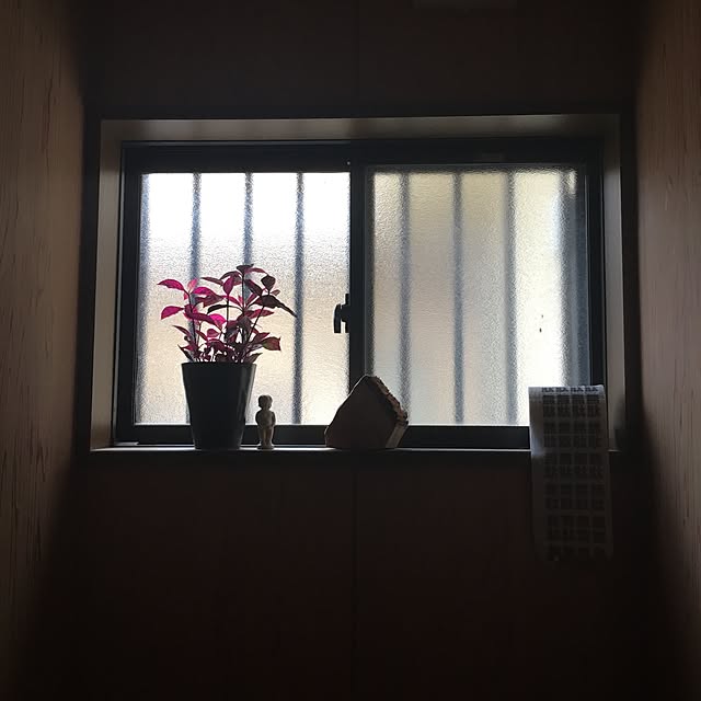 anri38さんの実例写真