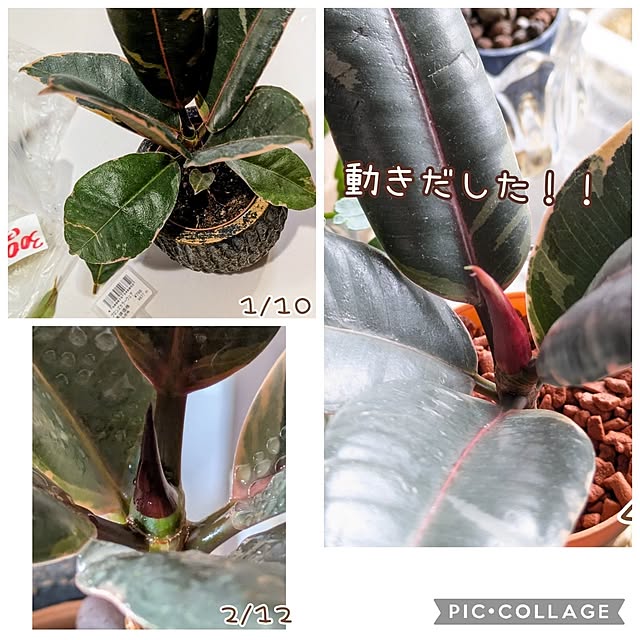 mi-saさんの部屋