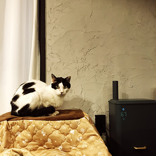 shishaさんの実例写真