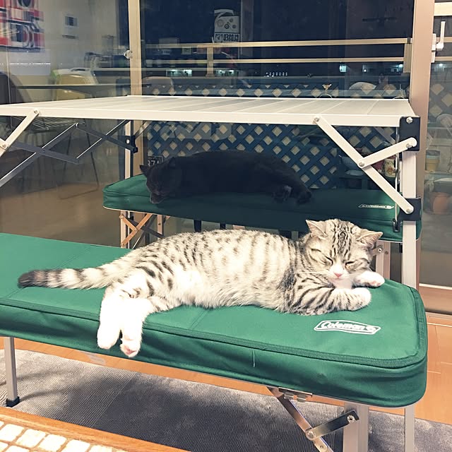 Shojiさんの実例写真