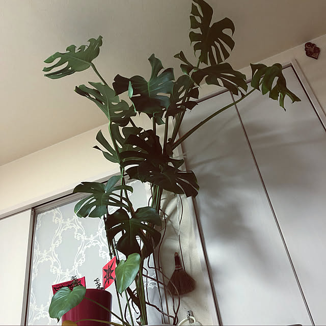 hiicanさんの実例写真