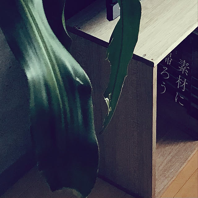 yamagurasuさんの実例写真