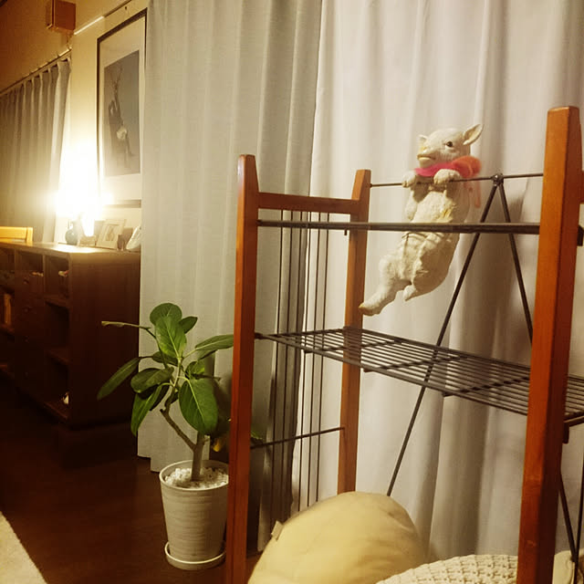tyunaさんの実例写真