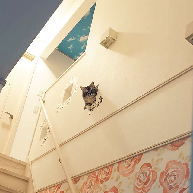 annetina374さんの実例写真