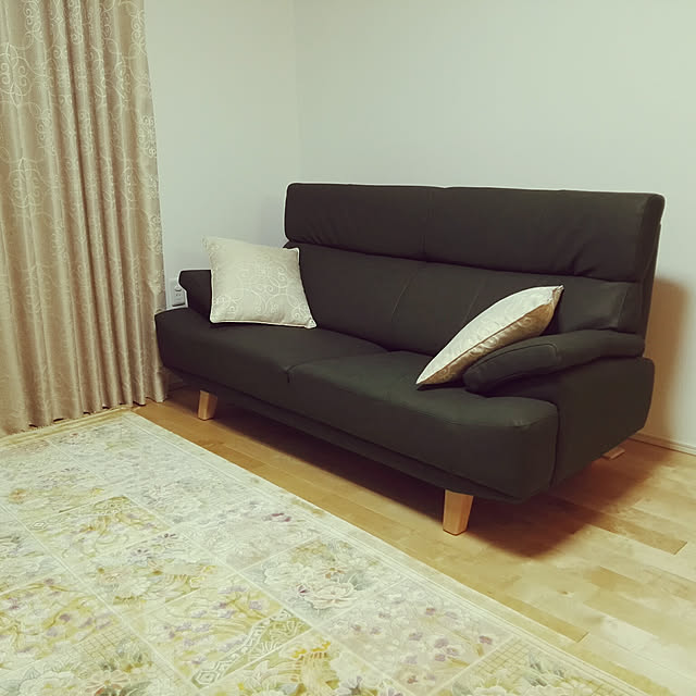 部屋全体/ソファ/無垢の床のインテリア実例 - 2020-03-21 01:00:28