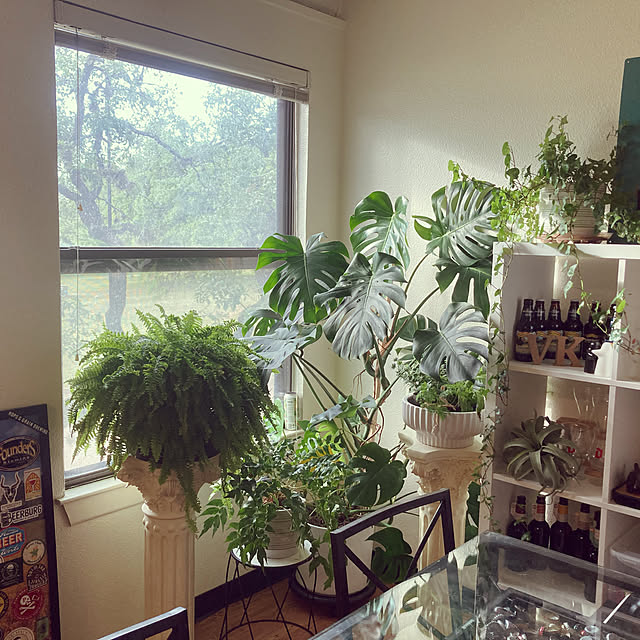 guanさんの部屋