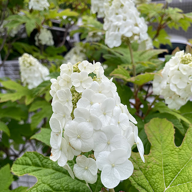 Andaluciaさんの部屋