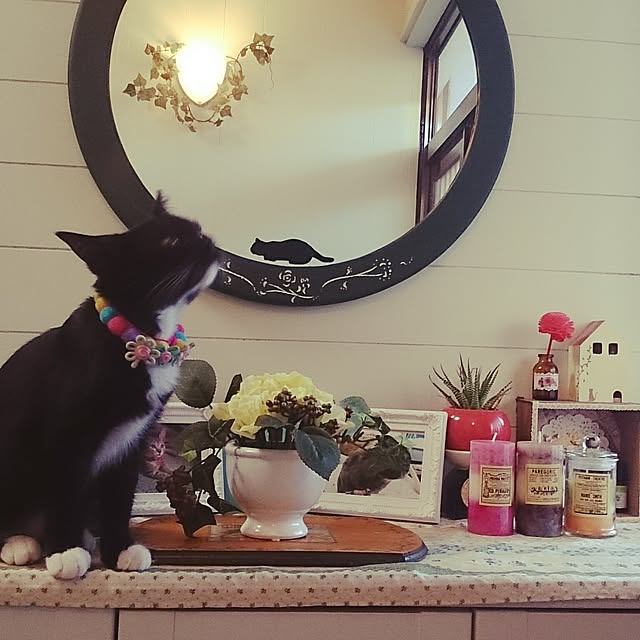 simaumaさんの実例写真