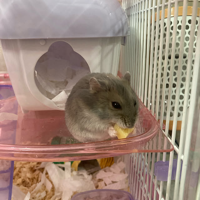 milkさんの実例写真
