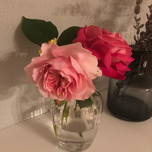 __apricotgram__さんの実例写真