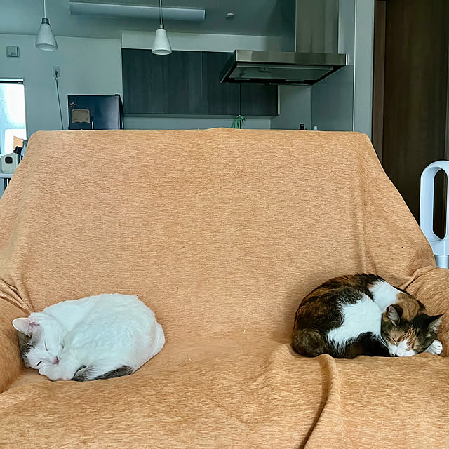 Misakiさんの実例写真