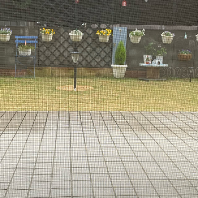 YuuKoさんの実例写真