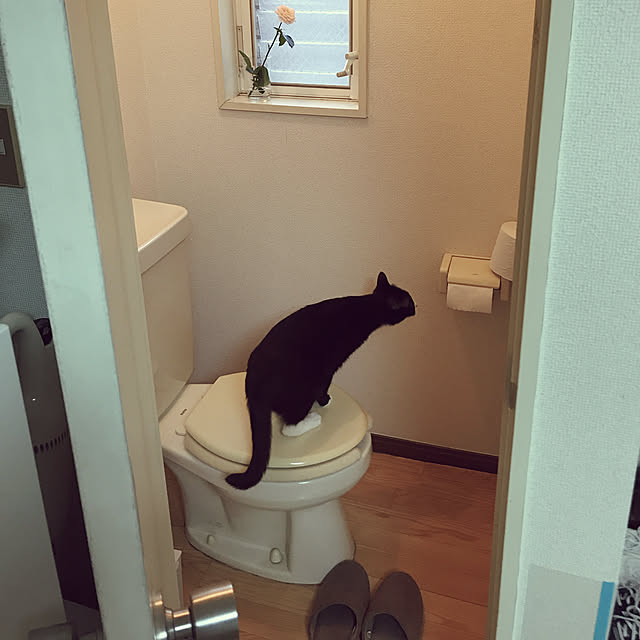 pyonさんの実例写真