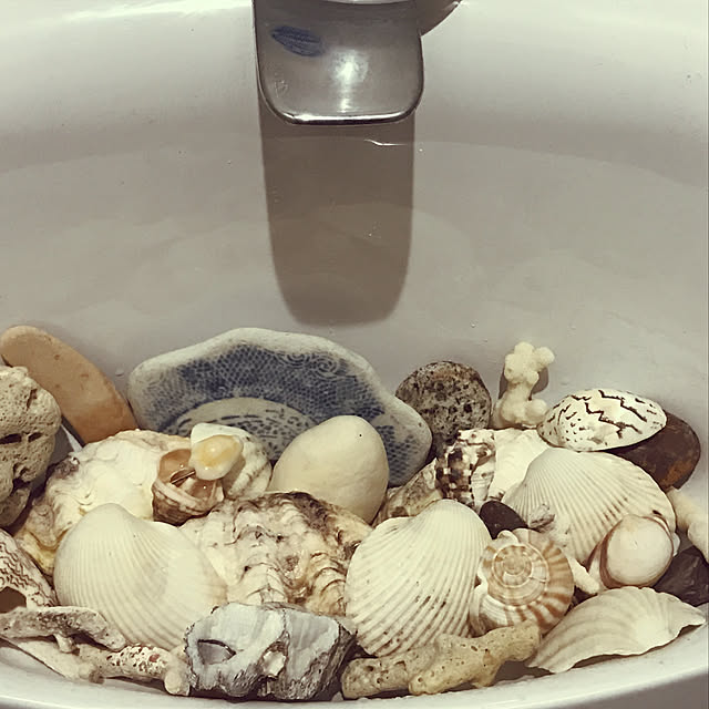 meeraさんの実例写真