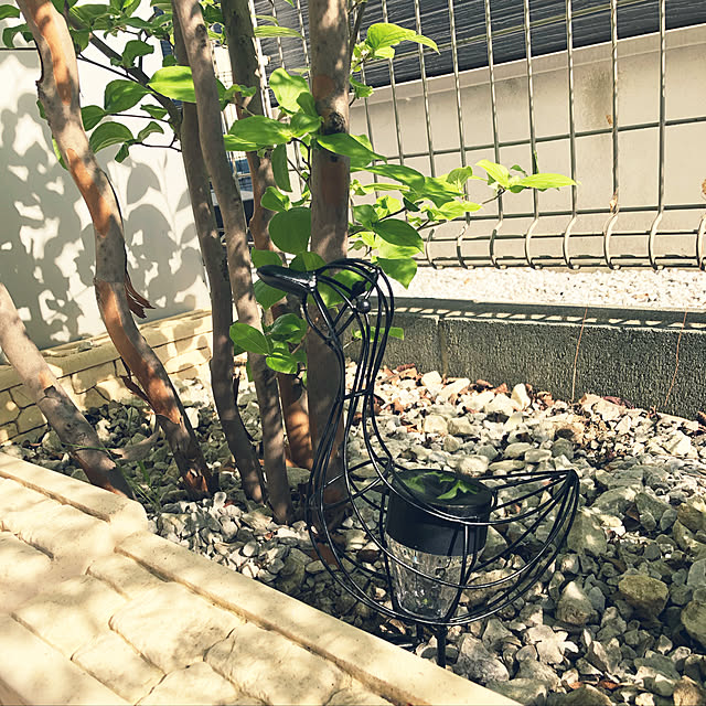 tomoさんの実例写真