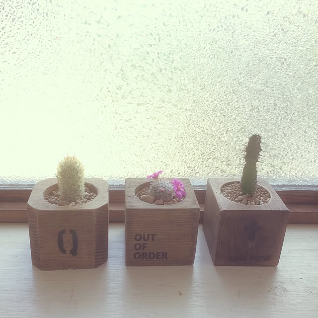 JUNKPUNKさんの実例写真