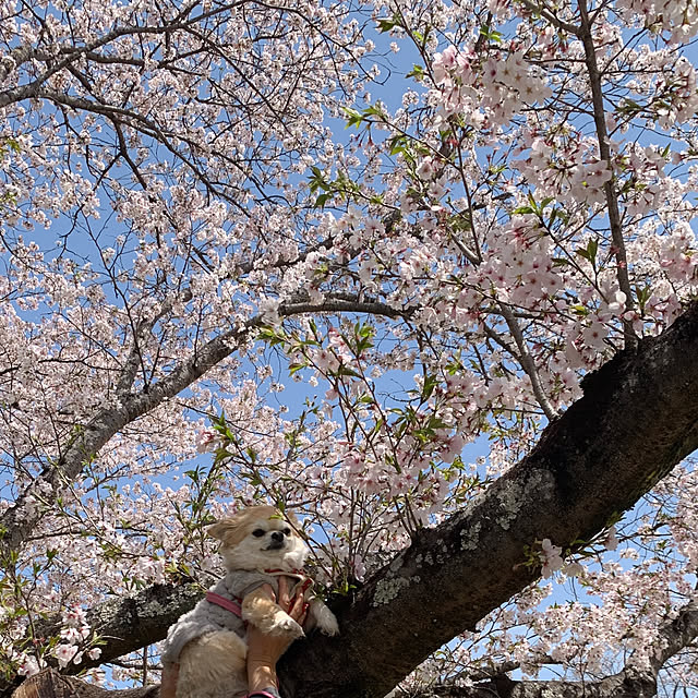 natsumiさんの部屋
