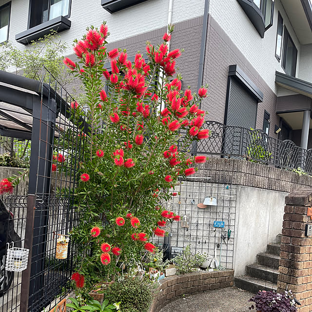 kikiさんの部屋