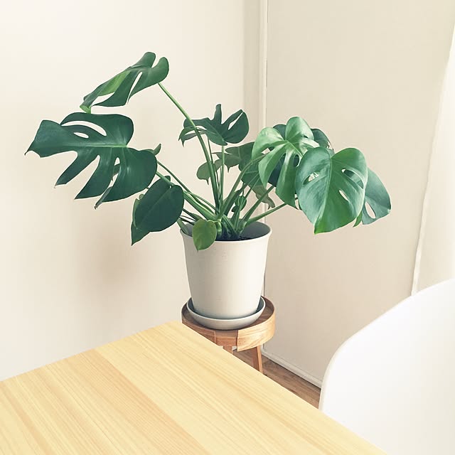 mdw1010さんの実例写真