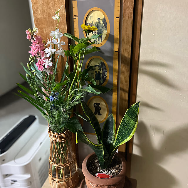 HANAさんの部屋