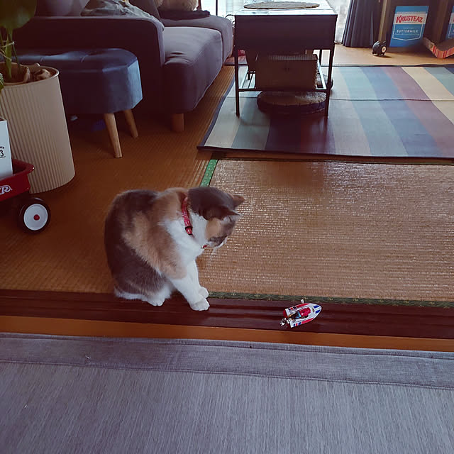 fukuさんの実例写真