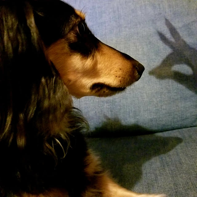 momozouさんの実例写真