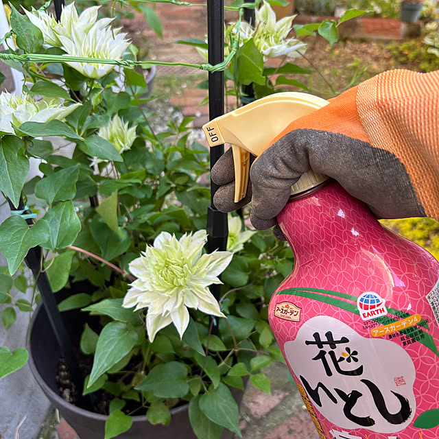 kakamiさんの部屋