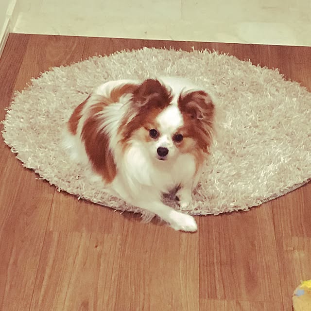 rimurさんの実例写真