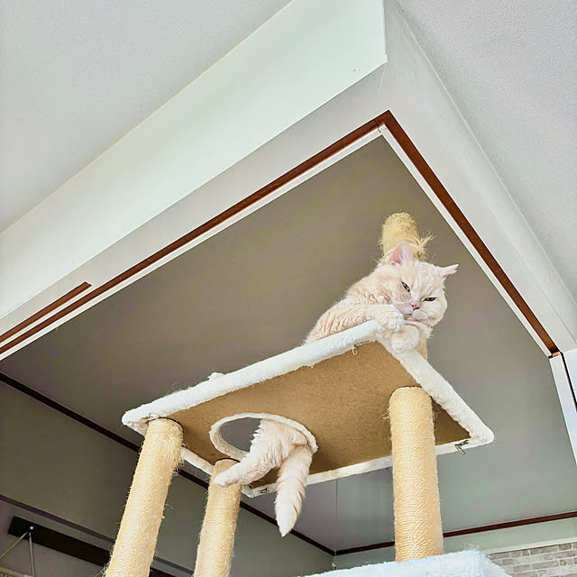 naokoさんの部屋