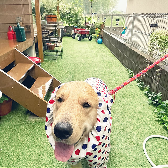 marinkoさんの実例写真
