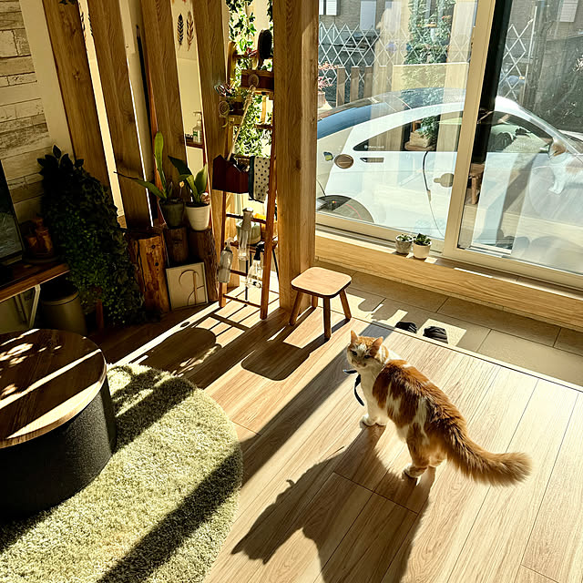 yutaさんの部屋