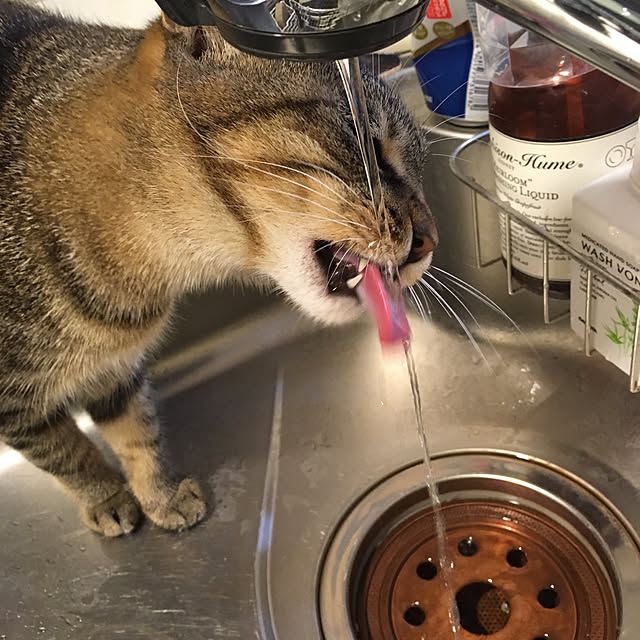 mikomaruさんの実例写真